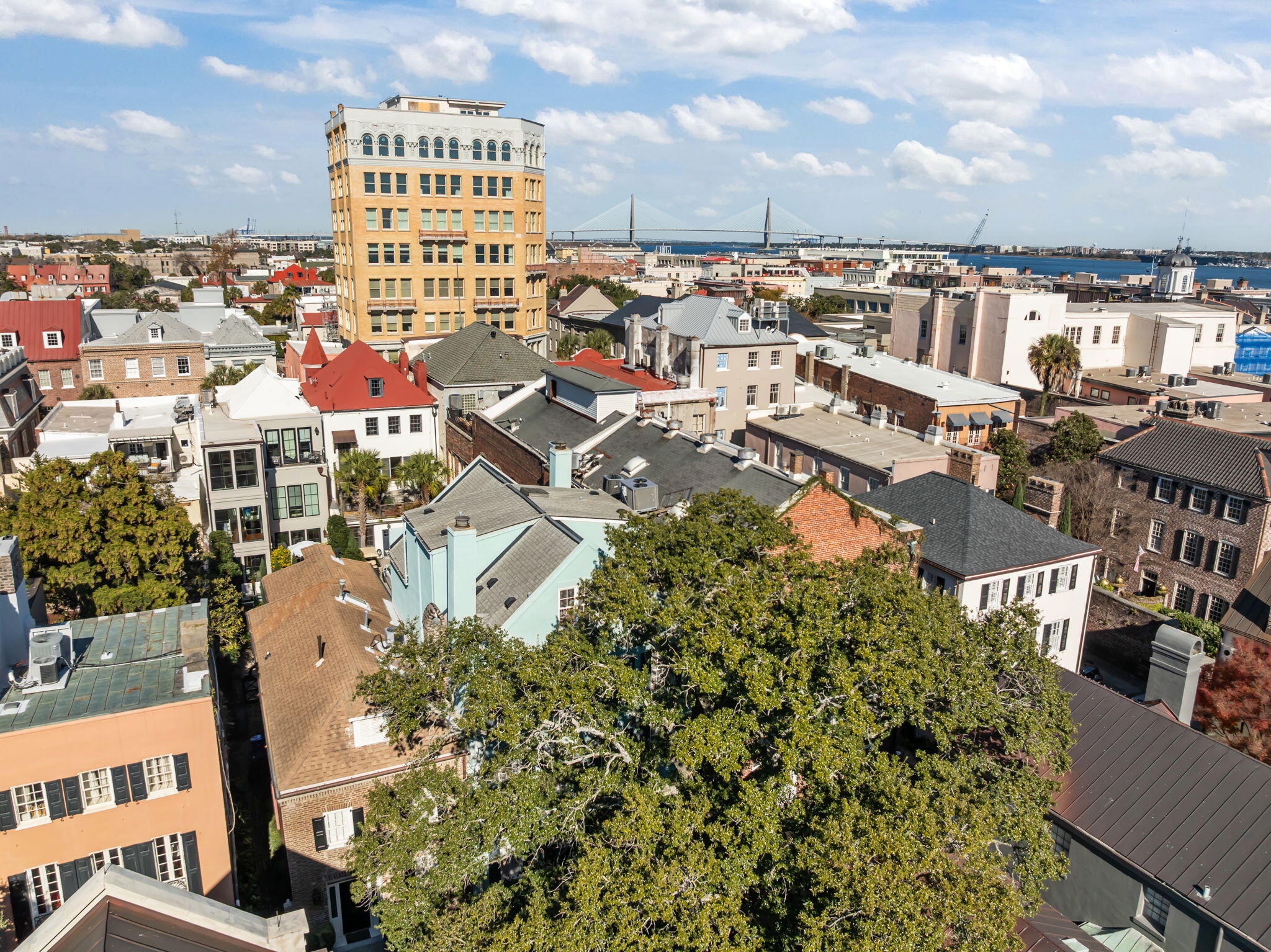 12 Elliott Street, Unit A Charleston, SC 29401 - Photo 43 of 52 45-web-or-mls-DJI_0932