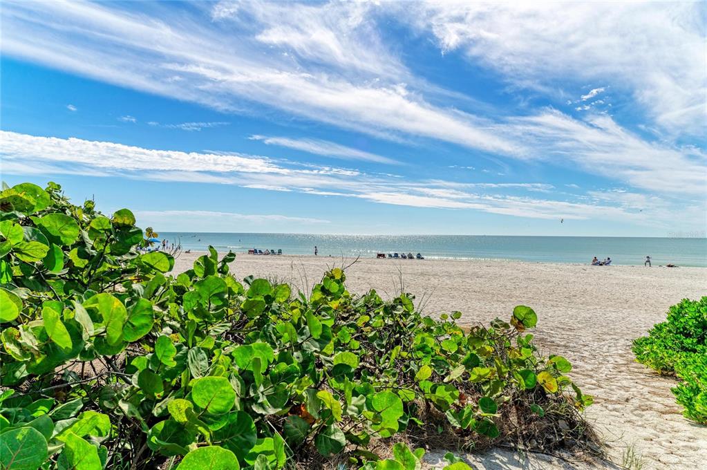 101 73rd Street, Unit 1 Holmes Beach, FL 34217 - Photo 36 of 50 a view of a pathway with a yard