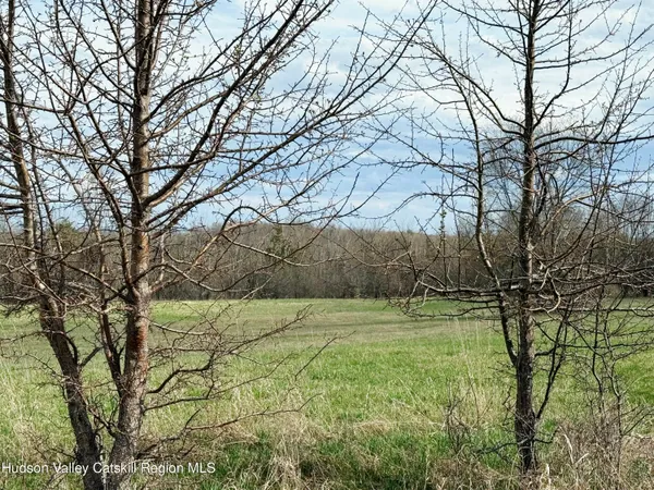 $159,000 | 0 North County Route 411, Westerlo, NY 12083