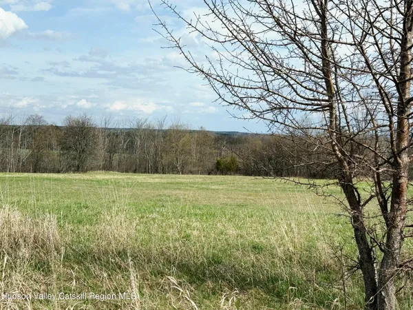 $159,000 | 0 North County Route 411, Westerlo, NY 12083