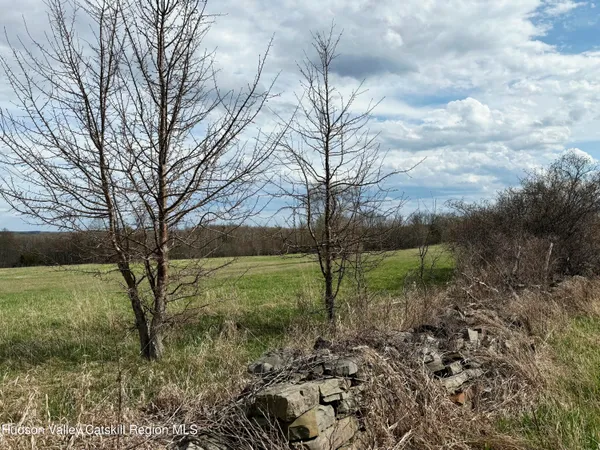 $159,000 | 0 North County Route 411, Westerlo, NY 12083