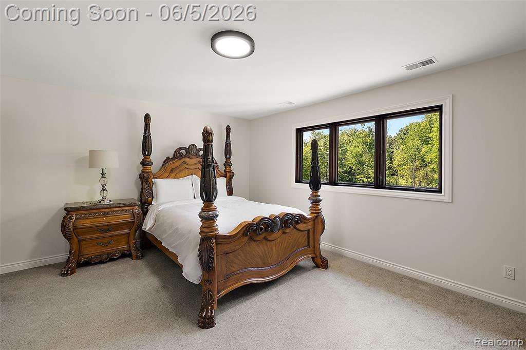 62502 Wayfaring Road Ray, MI 48096 - Photo 79 of 93