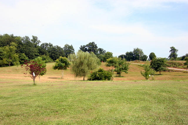 1420 Sands Road Sweetwater, TN 37874 - Photo 15 of 36 15-IMG_3278