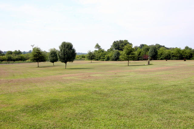 1420 Sands Road Sweetwater, TN 37874 - Photo 16 of 36 16-IMG_3276