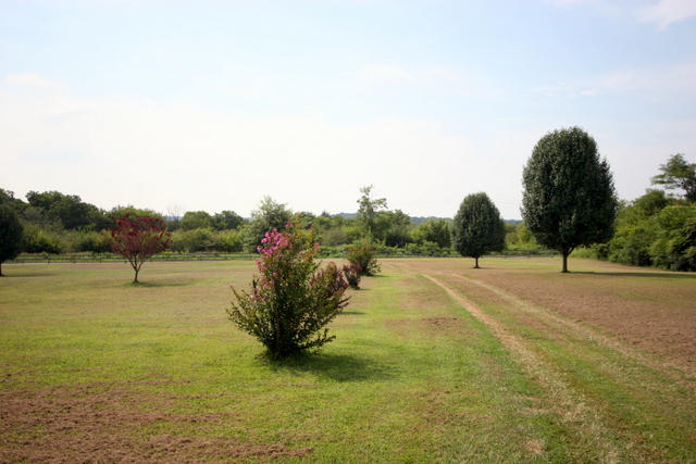 1420 Sands Road Sweetwater, TN 37874 - Photo 19 of 36 19-IMG_3264