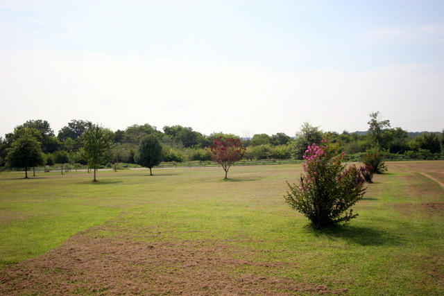 1420 Sands Road Sweetwater, TN 37874 - Photo 20 of 36 20-IMG_3263