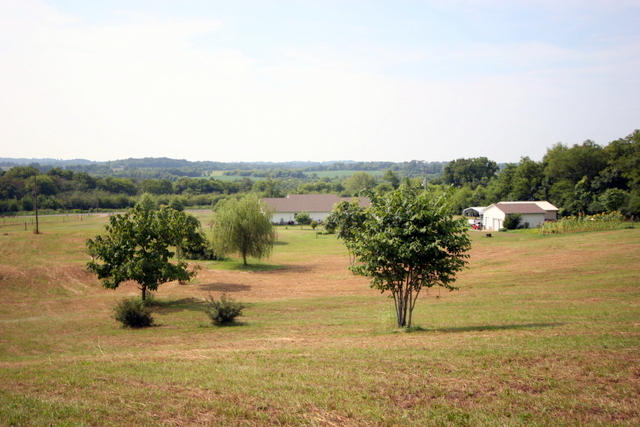 1420 Sands Road Sweetwater, TN 37874 - Photo 9 of 36 09-IMG_3294