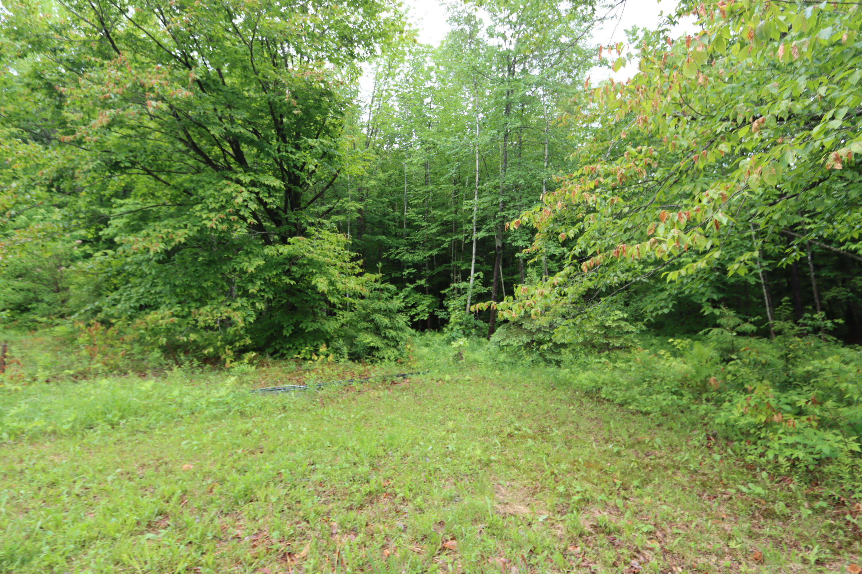 682 U.S. Rte 2 Wilton, ME 04294 - Photo 34 of 37 IMG_1640