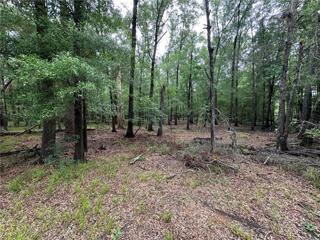 774 Claudes Road Colfax, LA 71417 - Photo 23 of 25