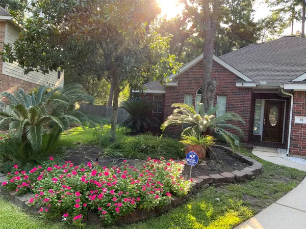 a flower garden with lots of flowers and trees