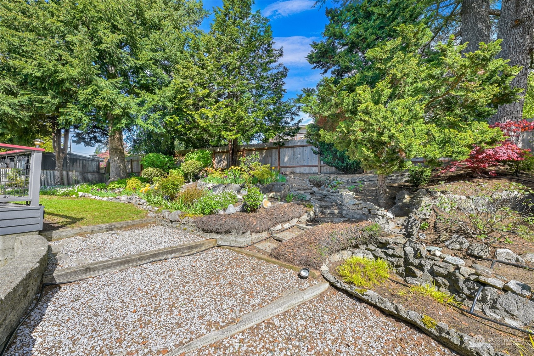 2400 View Ridge Drive Bellingham, WA 98229 - Photo 36 of 39 a view of a backyard with plants and large trees