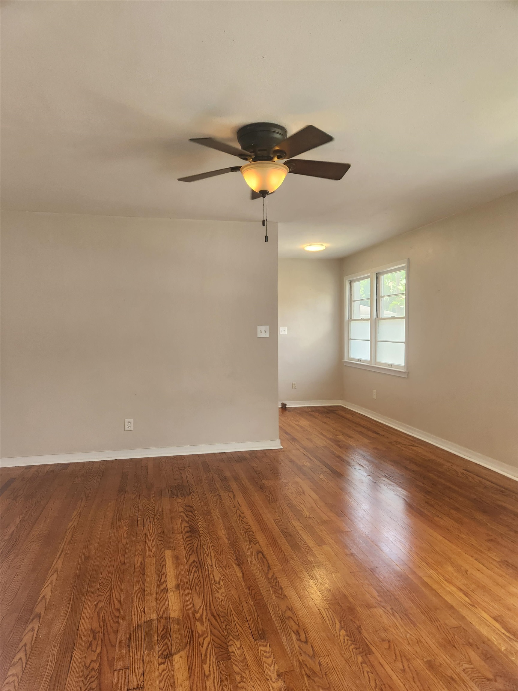 55 Riberia Street, Unit 5 St. Augustine, FL 32084 - Photo 5 of 18