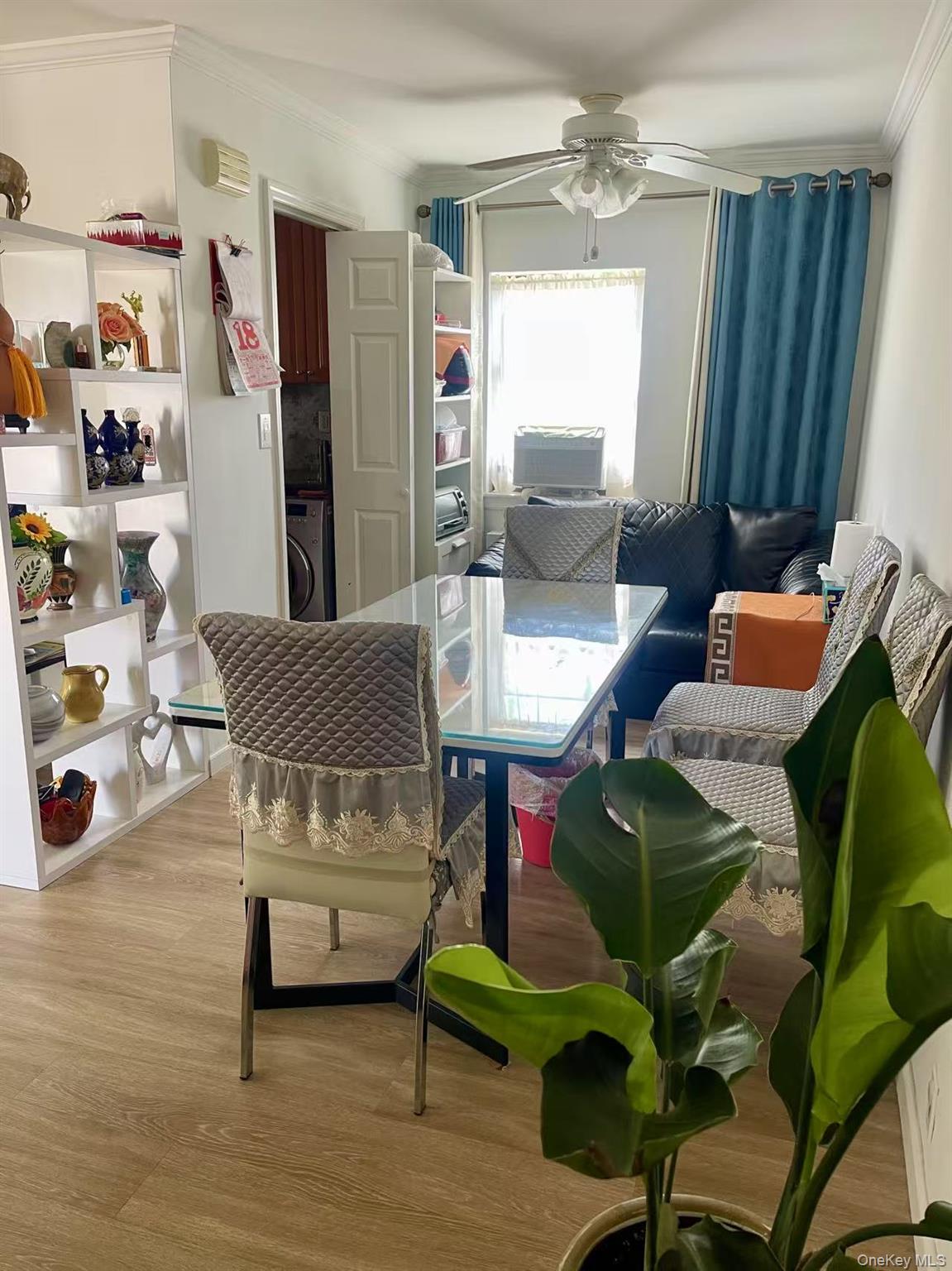 67-12 197th Street, Unit 1 Queens, NY 11365 - Photo 3 of 5 a living room with furniture and a potted plant