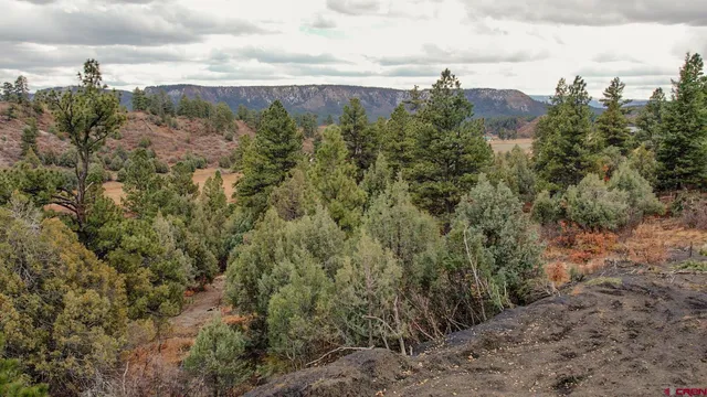 $200,000 | 1433 Harvard Avenue, Pagosa Springs, CO 81147