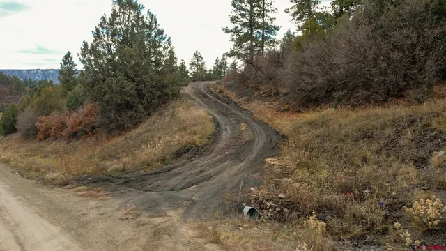 $200,000 | 1433 Harvard Avenue, Pagosa Springs, CO 81147