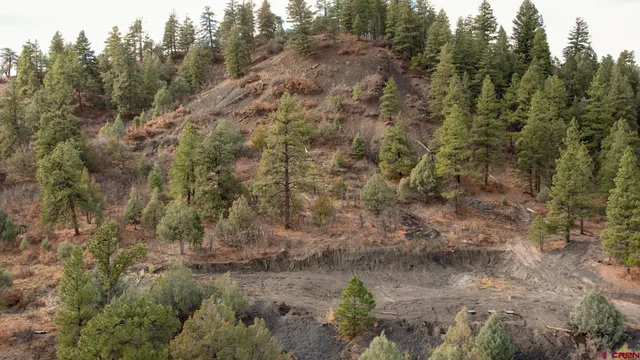 $200,000 | 1433 Harvard Avenue, Pagosa Springs, CO 81147