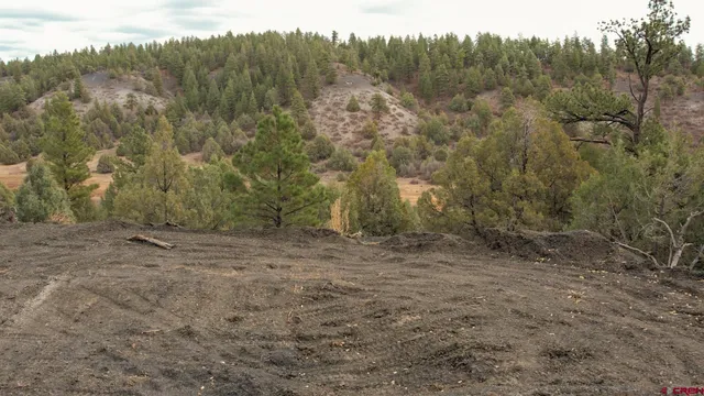 $200,000 | 1433 Harvard Avenue, Pagosa Springs, CO 81147