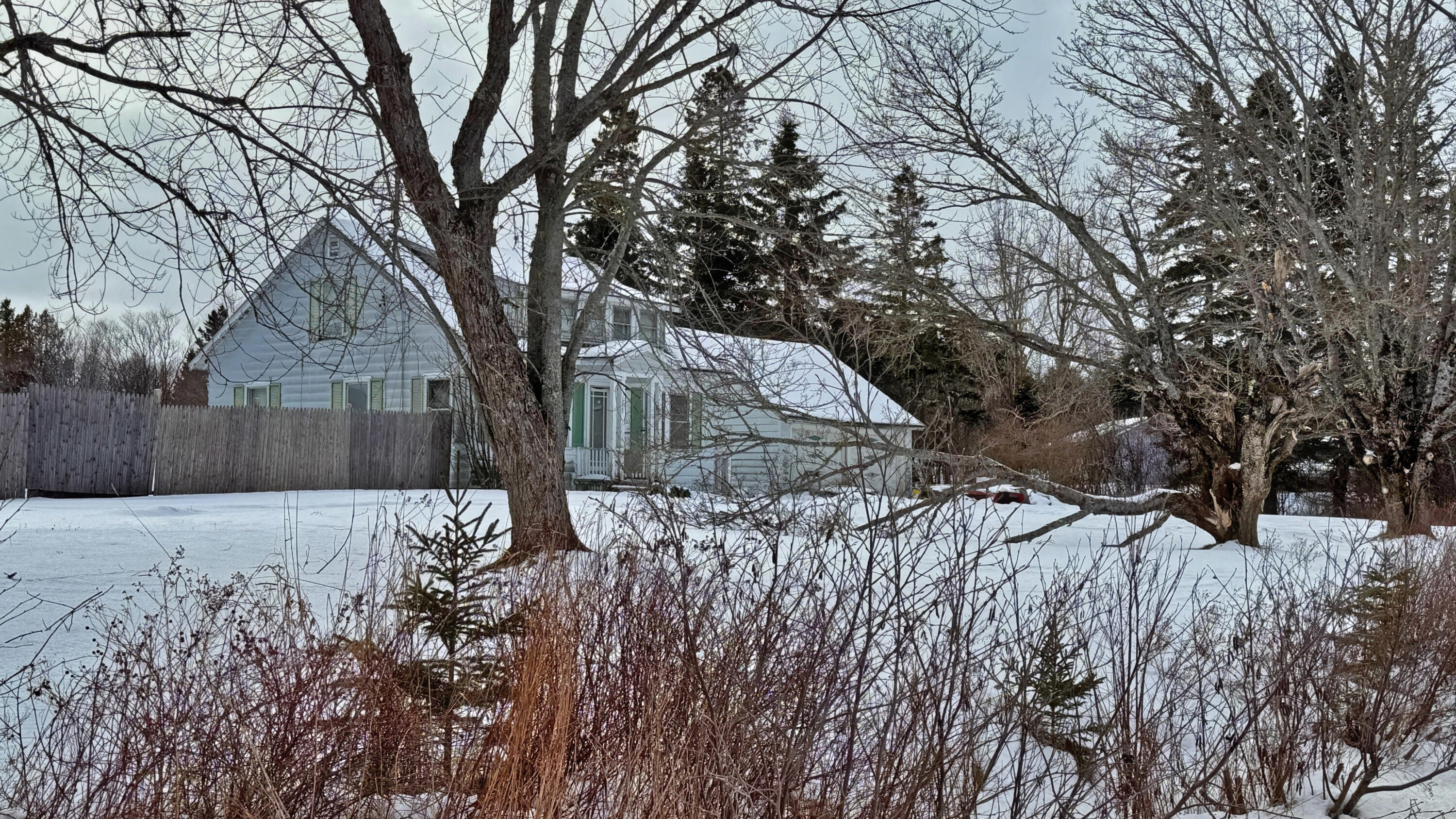 850 County Road Lubec, ME 04652 - Photo 7 of 8 IMG_8608