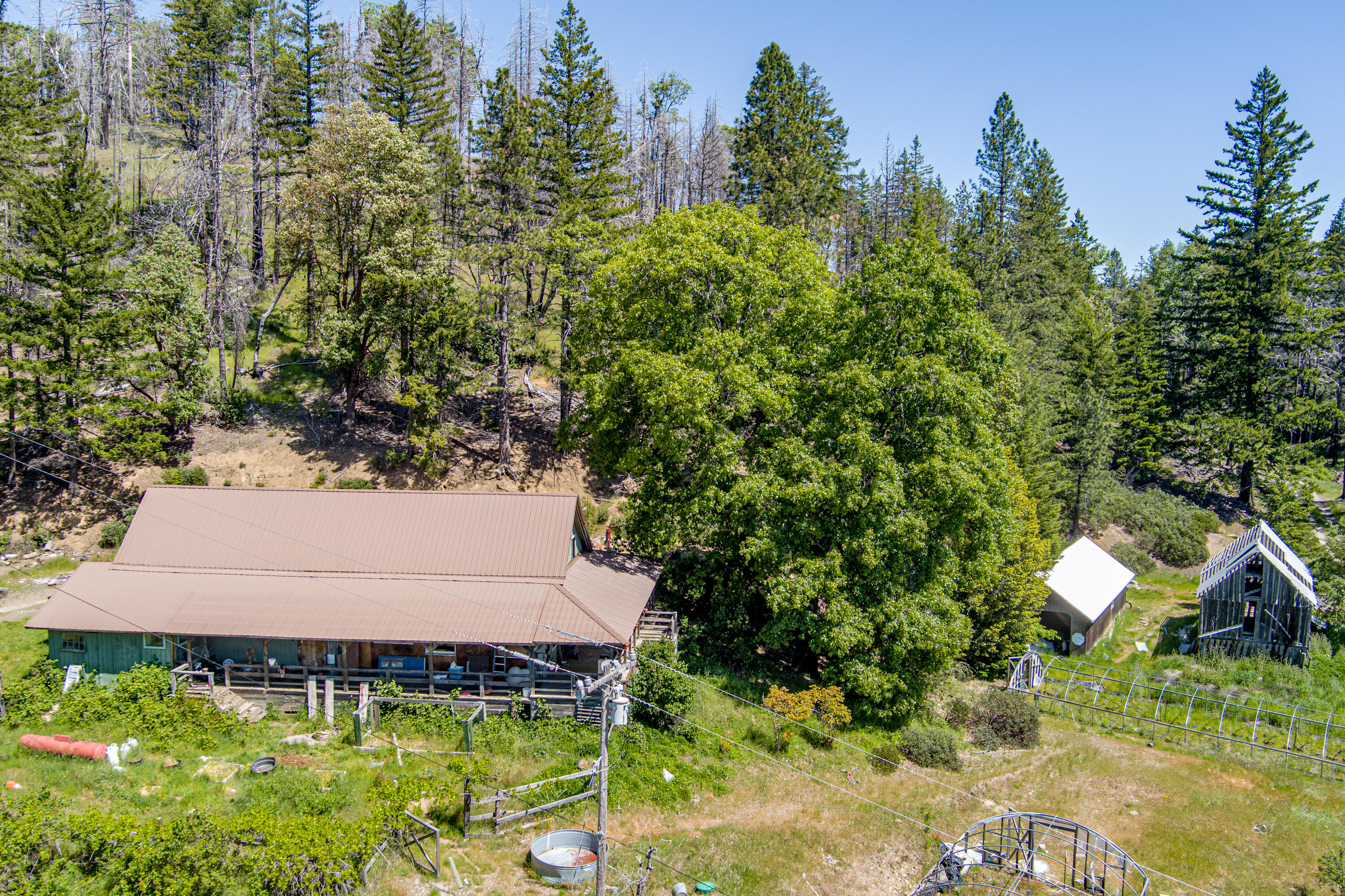 673 Thunderbolt Ranch Road Zenia, CA 95595 - Photo 9 of 50