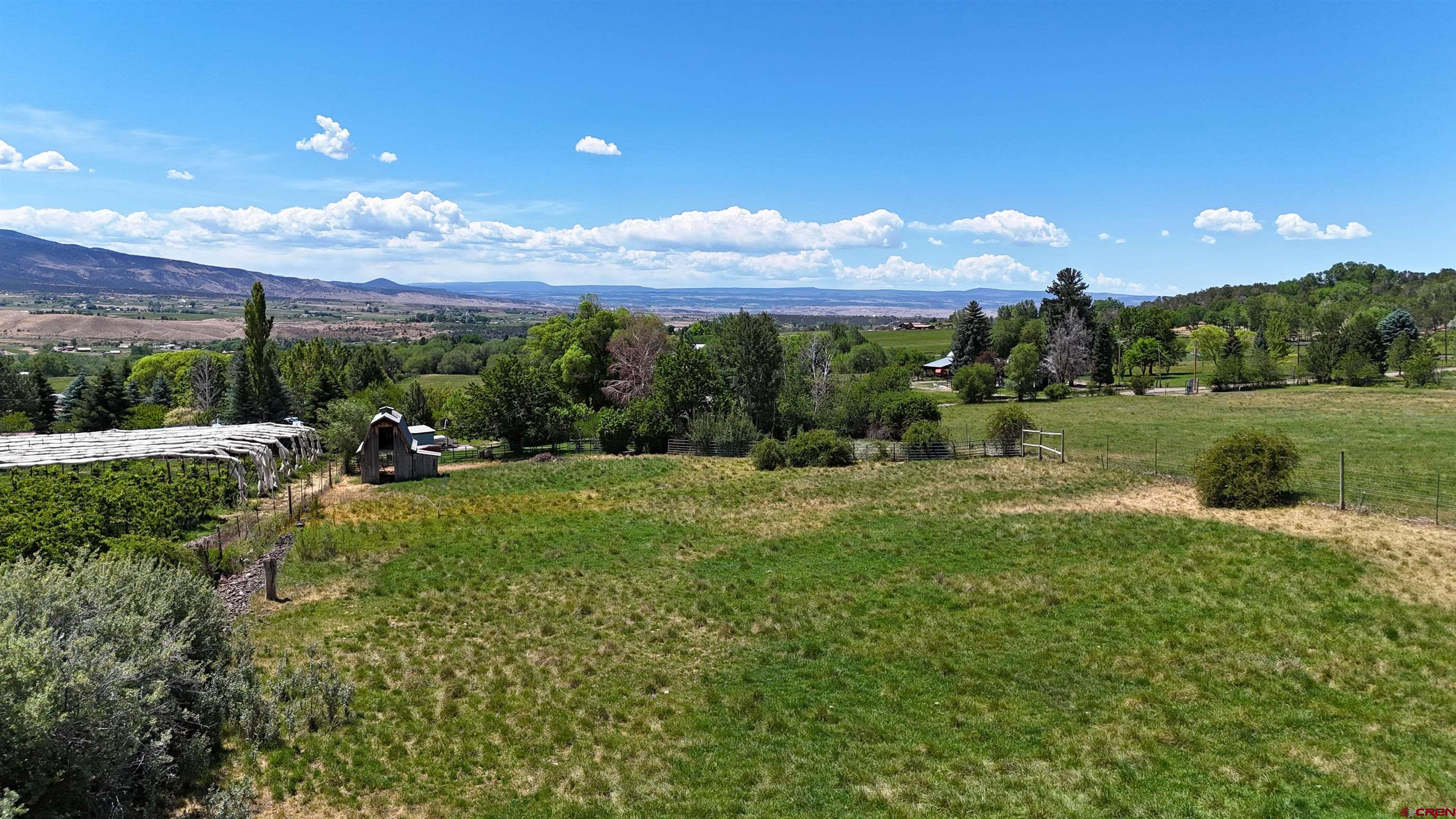 39389 Pitkin Road Paonia, CO 81428 - Photo 30 of 34