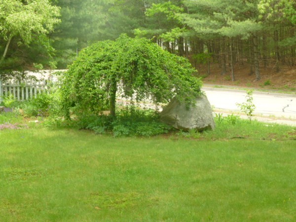 7 Sunrise Road Foxboro, MA 02035 - Photo 25 of 30
