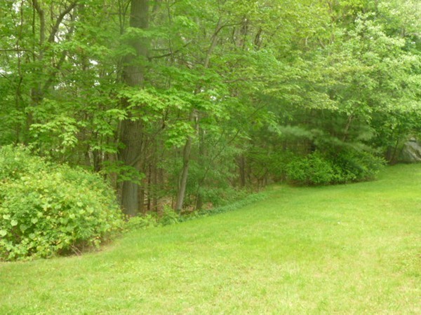 7 Sunrise Road Foxboro, MA 02035 - Photo 26 of 30