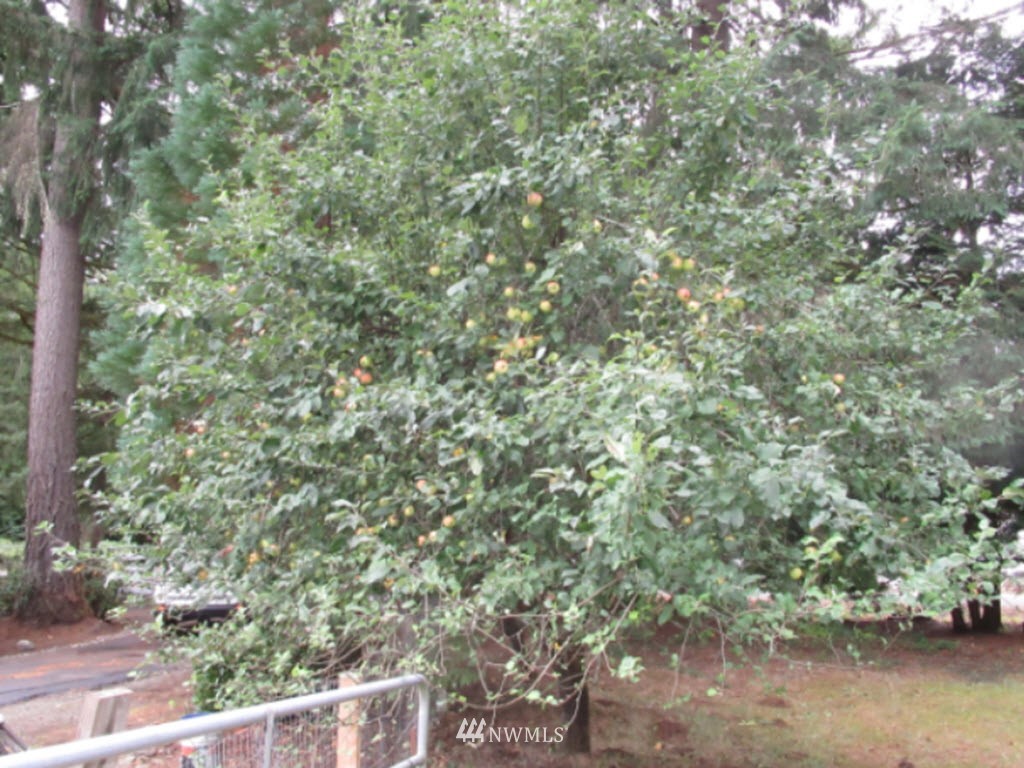 5422 Gifford Road Southwest Olympia, WA 98512 - Photo 25 of 25 Gallery Image 25