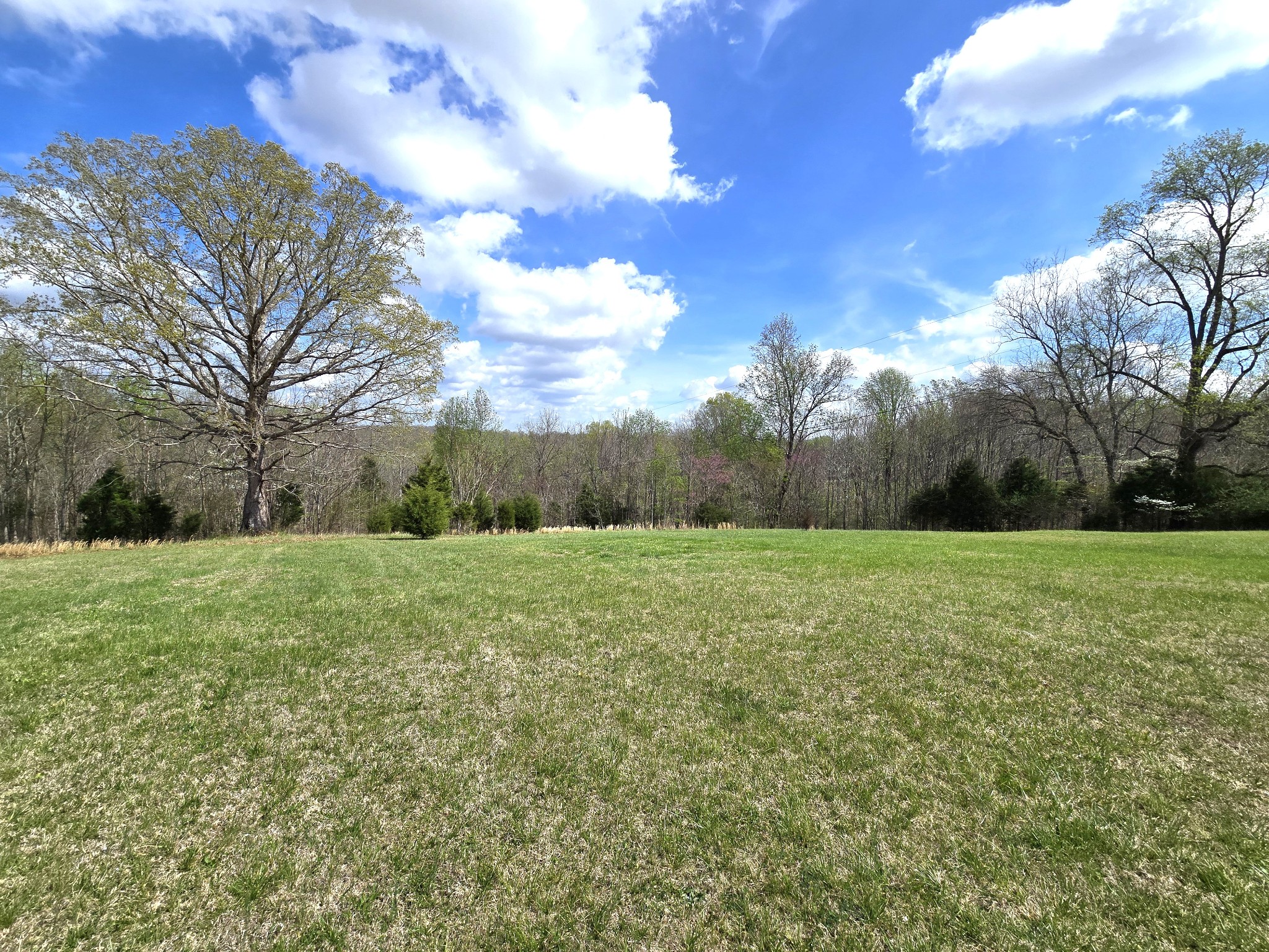 3467 Luther Ragan Road Palmyra, TN 37142 - Photo 24 of 28