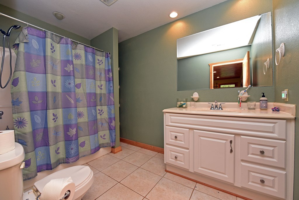 1335 Willard Mountain Road Blue Ridge, GA 30513 - Photo 47 of 68 Gallery Image 47