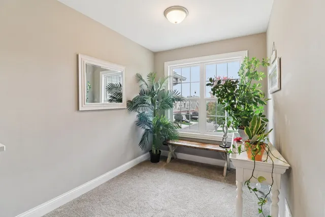 a room with furniture and a potted plant