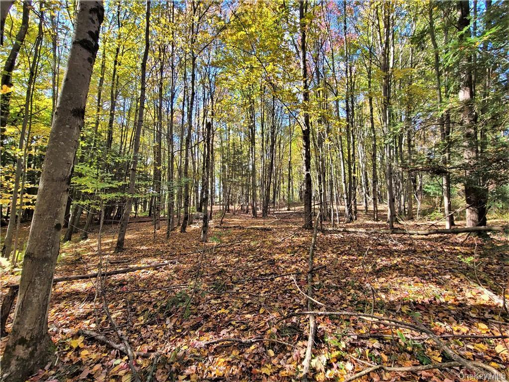 Lot 5.4 Kaufman Road Monticello, NY 12701 - Photo 38 of 45