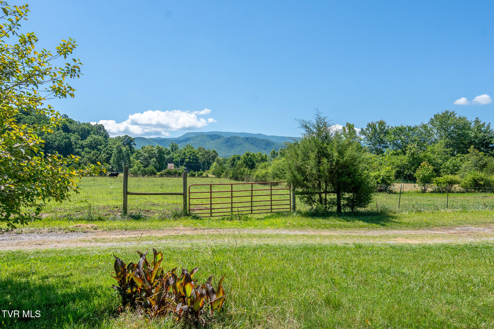 1135 Pleasant Hill Road Chuckey, TN 37641 - Photo 40 of 47 Pleasant Hill 20