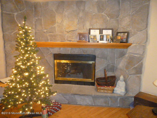 842 Hyson Road Jackson, NJ 08527 - Photo 9 of 38 P1020755