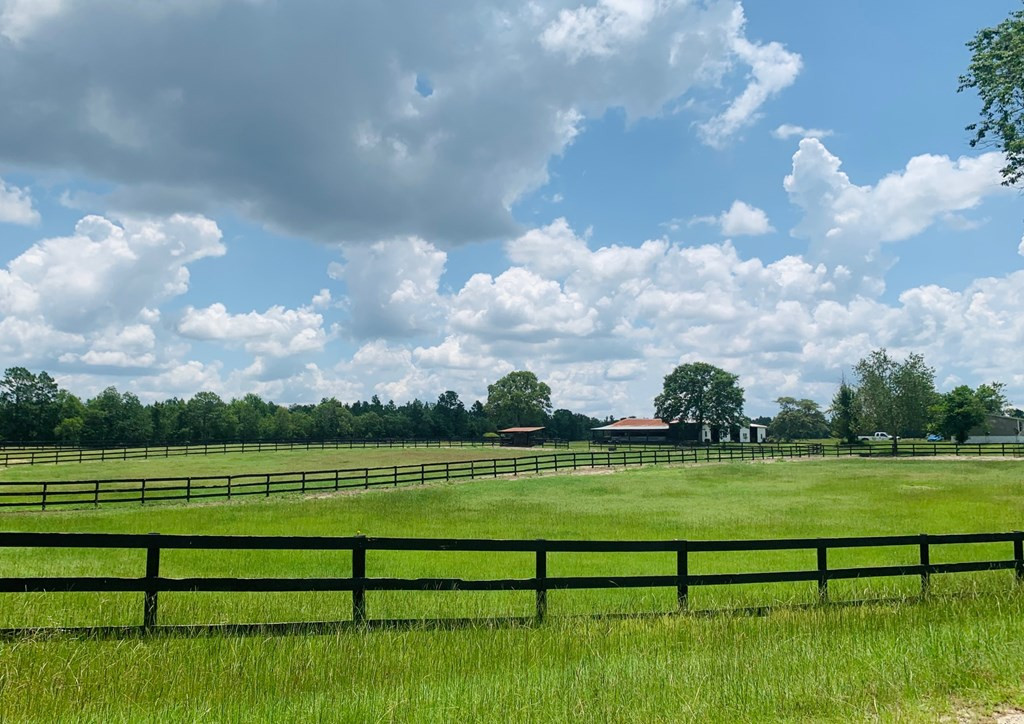 405 Cadle Crossing Road Windsor, SC 29856 - Photo 6 of 43