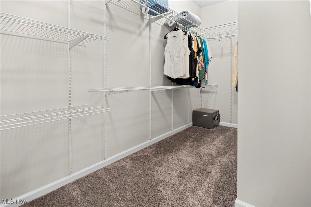 6824 Hatching Way North Ridgeville, OH 44039 - Photo 22 of 42 Walk in closet featuring carpet floors