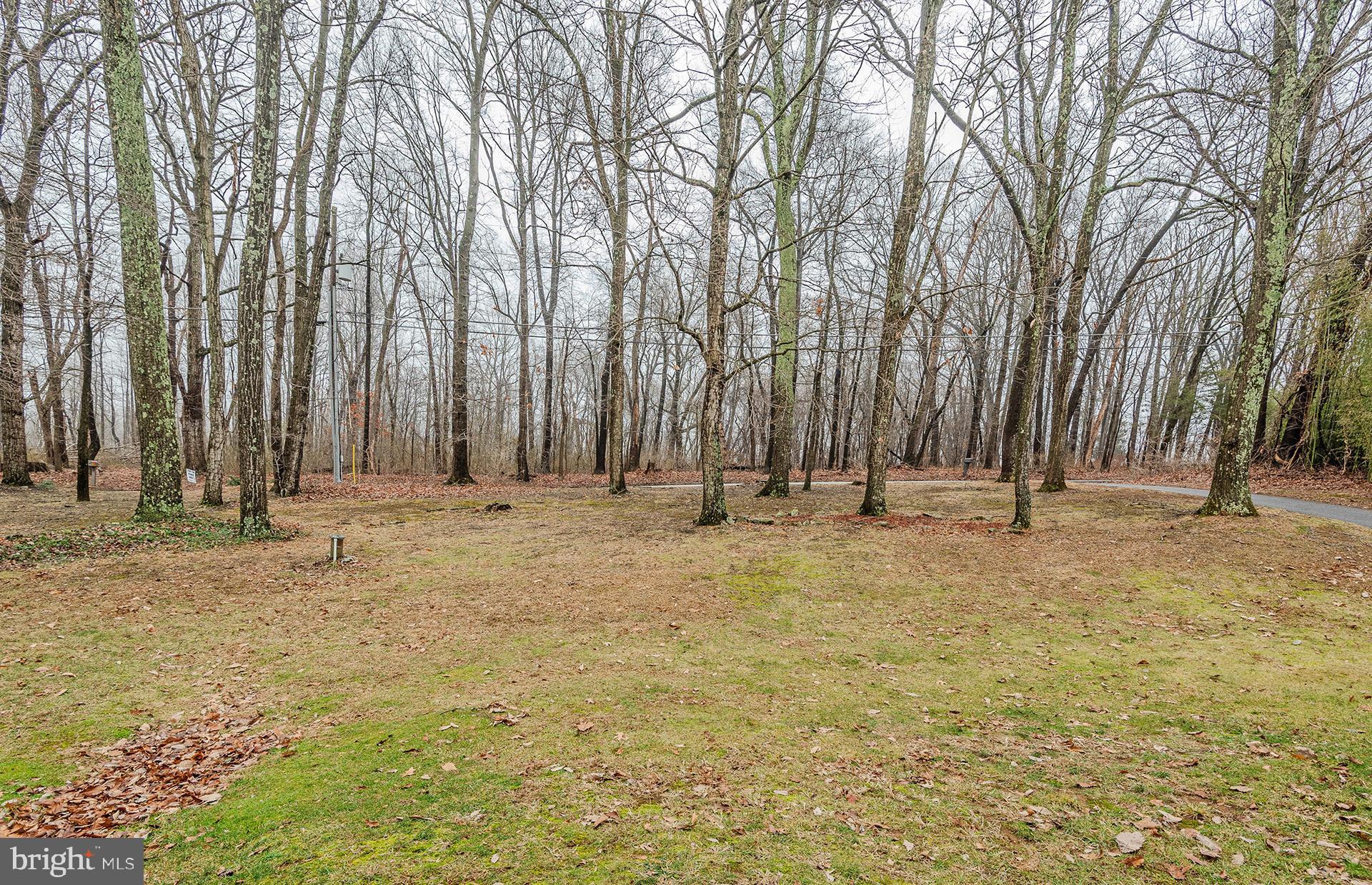 3895 Buffalo Road New Windsor, MD 21776 - Photo 3 of 44 The front yard has space for planting or play!