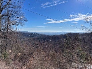 499 Elk Spur Road Fancy Gap, VA 24328 - Photo 5 of 16 Gallery Image 5