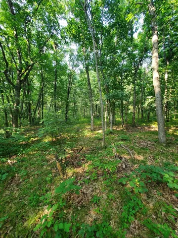 a big yard with lots of green space and deers