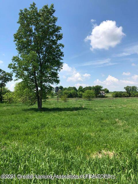 0 Wright Road Leslie, MI 49251 - Photo 1 of 41 Photo