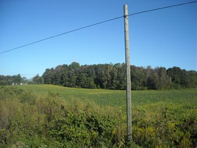 West Card Road, Unit A Reading, MI 49274 - Photo 1 of 4 Primary Photo