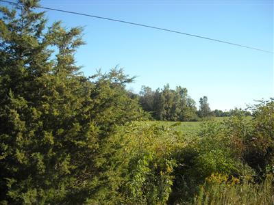 West Card Road, Unit A Reading, MI 49274 - Photo 3 of 4 Additional Photo