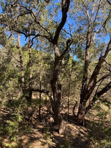 a backyard of a house