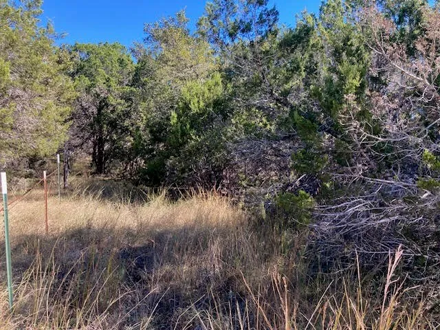 a view of a lake and trees
