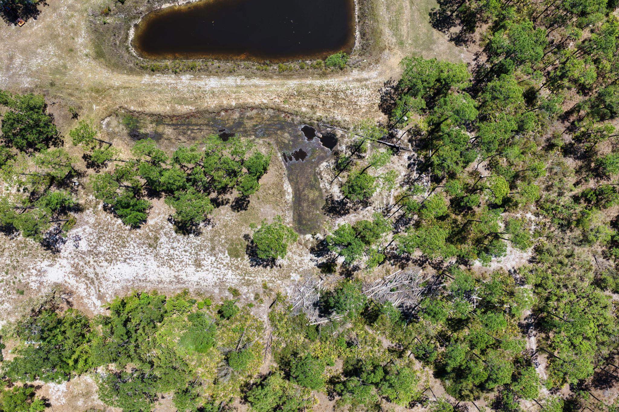 2151 Politic Road Perry, FL 32348 - Photo 44 of 53