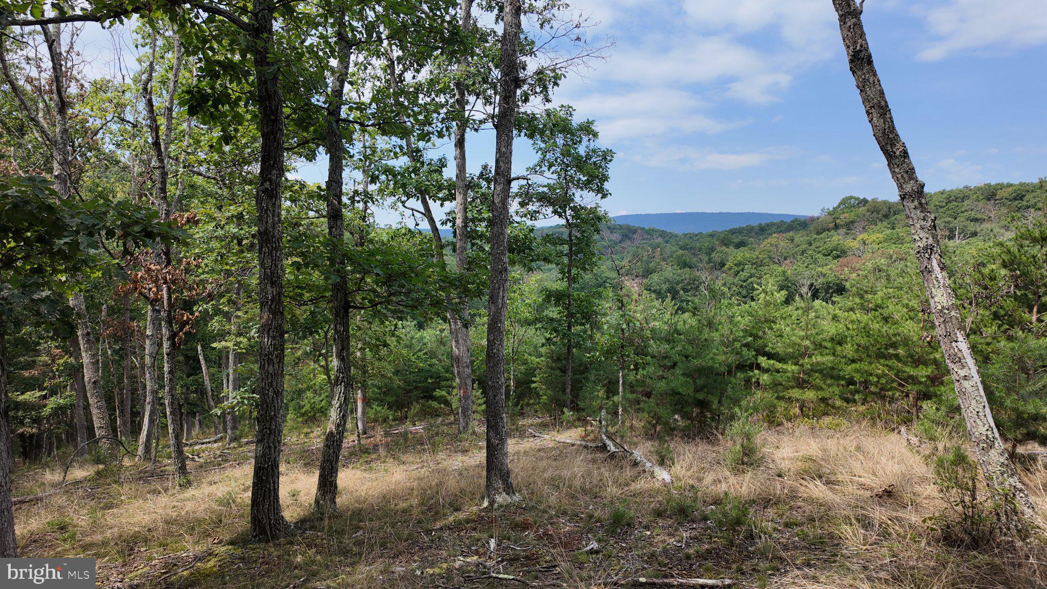 29-acres 29-acres Gaither Road Great Cacapon, WV 25422 - Photo 2 of 45 Gallery Image 2
