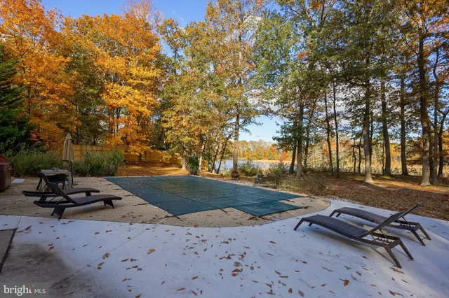 a view of a yard with plants and trees