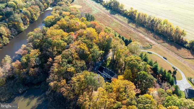 a view of an ocean and beach