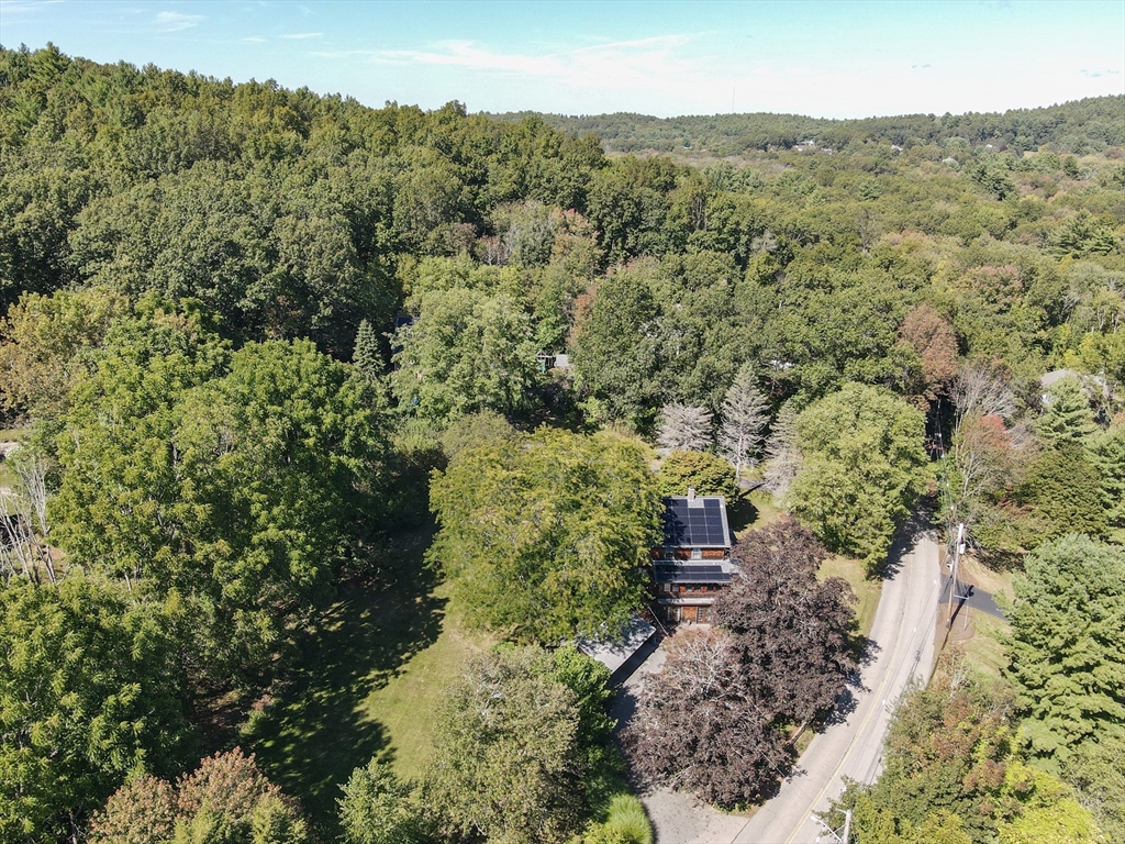 58 Pine Hill Road Southborough, MA 01772 - Photo 7 of 42 a view of a forest with a street