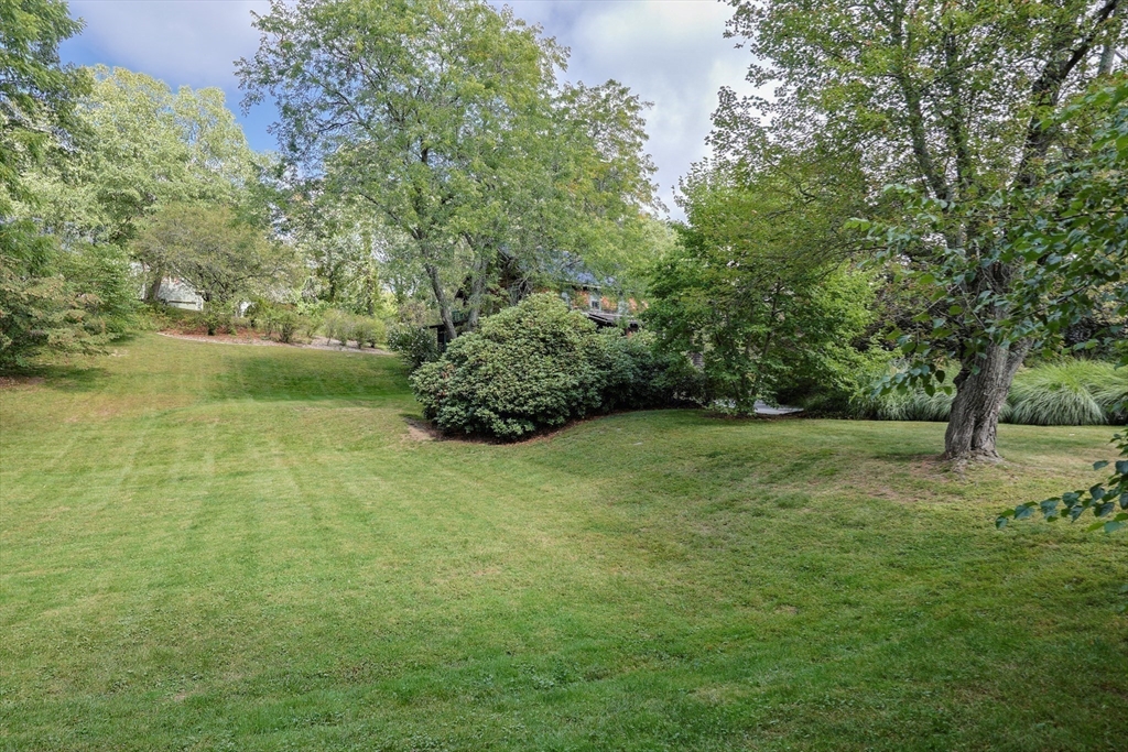 58 Pine Hill Road Southborough, MA 01772 - Photo 10 of 42 a view of a yard with a trees