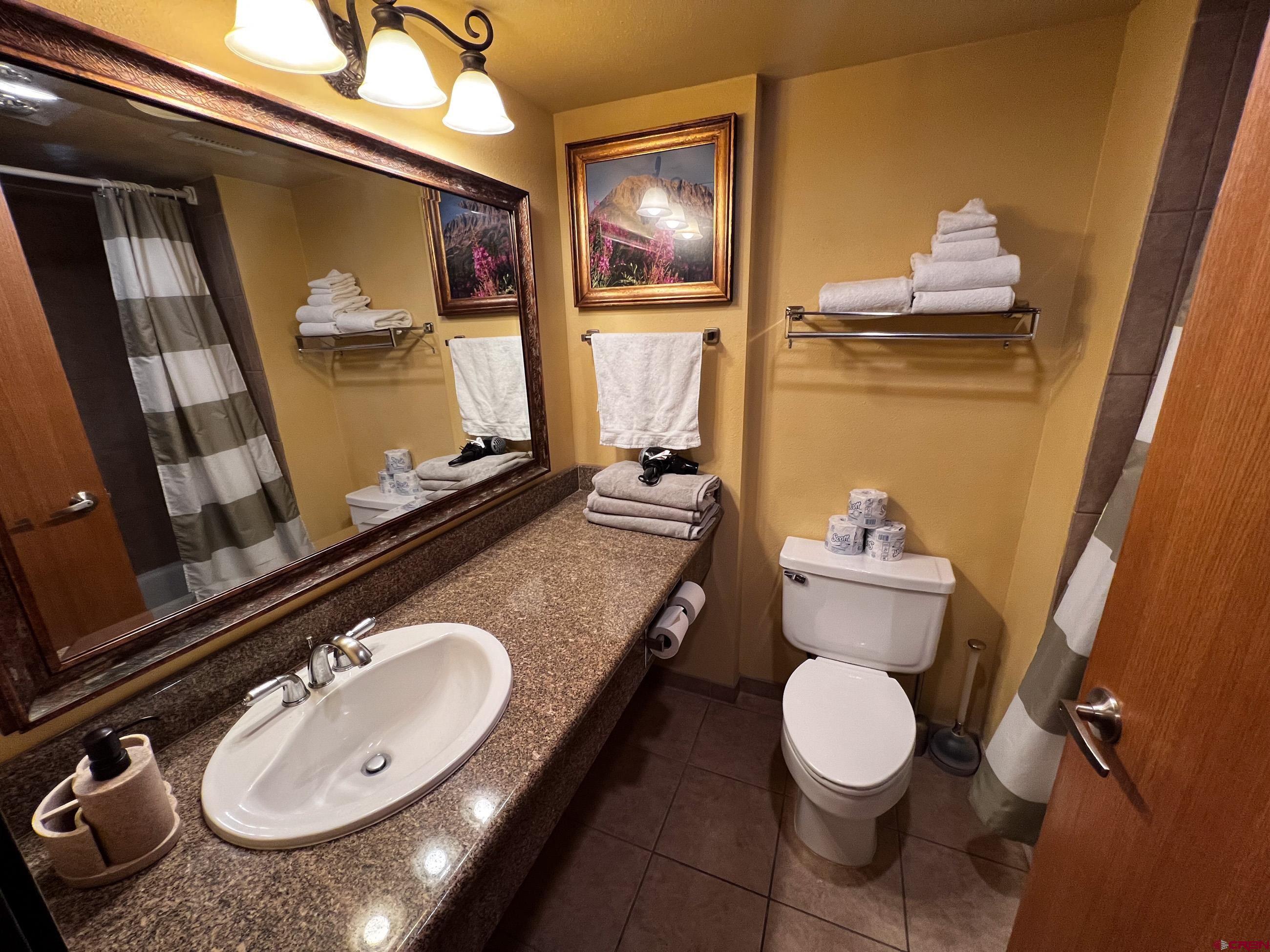 6 Emmons Road, Unit 521 Crested Butte, CO 81225 - Photo 4 of 19 a bathroom with a sink mirror vanity and toilet